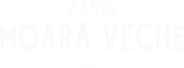 logo light